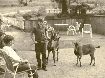 Ehemalige Tiere bei der Tannenmühe