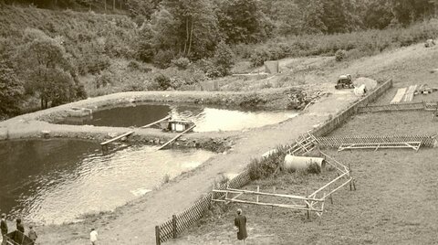 Die Forellenzucht in alten Zeiten