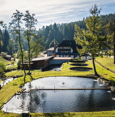 Forellenzucht im Sommer
