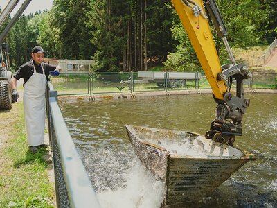 Forellen werden mit dem Kran gefangen