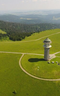 Der Feldberg im Sommer