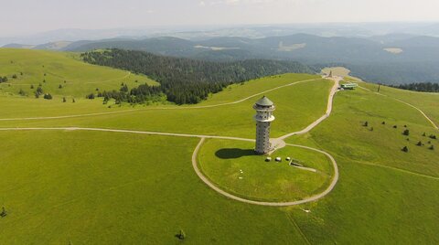 Feldberg im Sommer