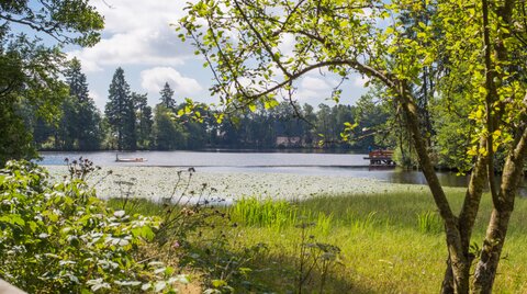 Schlüchtsee