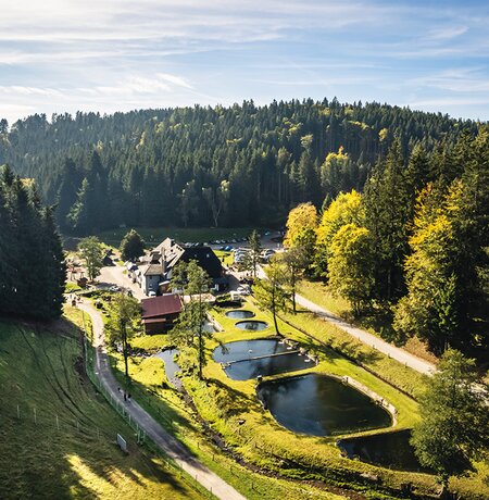 Tannenmühle von außen im Sommer