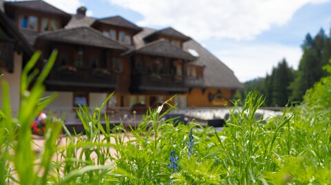 Die Tannenmühle im Frühling von außen