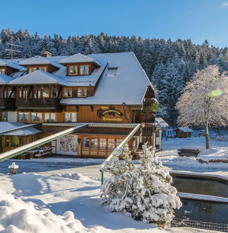 Tannenmühle von außen im Winter