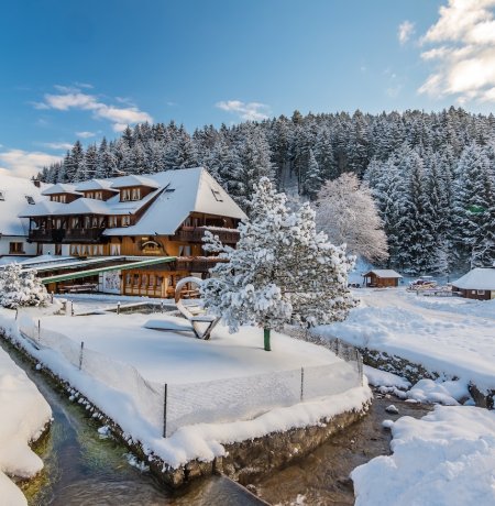 Tannenmühle im Winter Tannenmühle im Winter