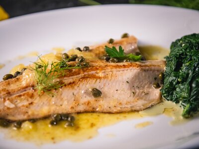 Forellenfilet mit Sauce