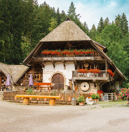 Das Mühlenmuseum von außen im Sommer