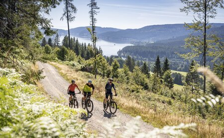 Mountainbiker im Schwarzwald