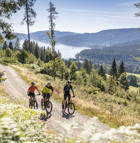Mountainbiker im Schwarzwald