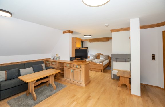 Wohnzimmer mit Holzmöbeln, Sofa links, Fernseher in der Mitte und Bett im Hintergrund rechts